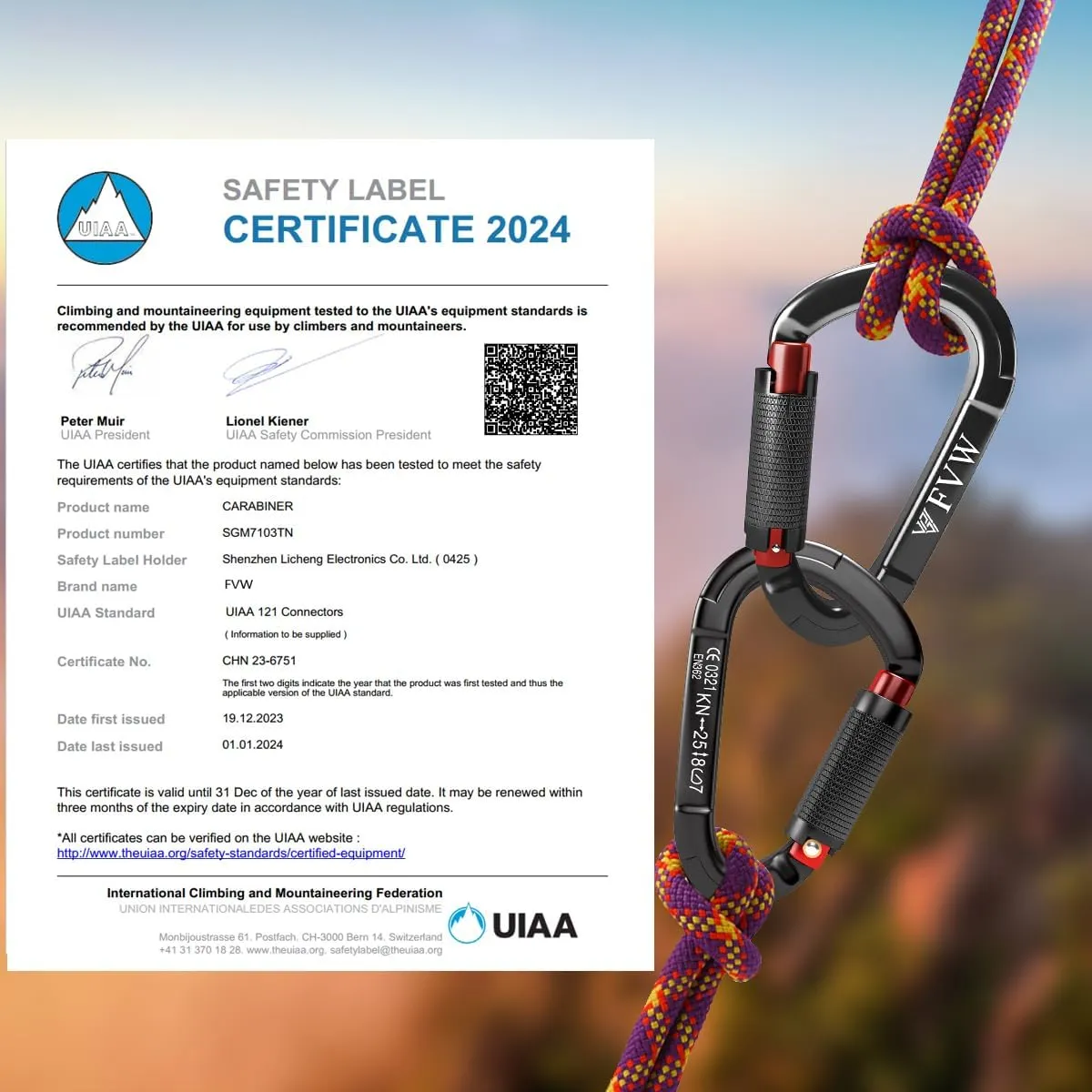 FVW Auto Locking Rock Climbing Carabiner Clips,Professional 25KN (5620 lbs) Heavy Duty Caribeaners for Rappelling Swing Rescue & Gym etc, Large D-Shaped Carabiners